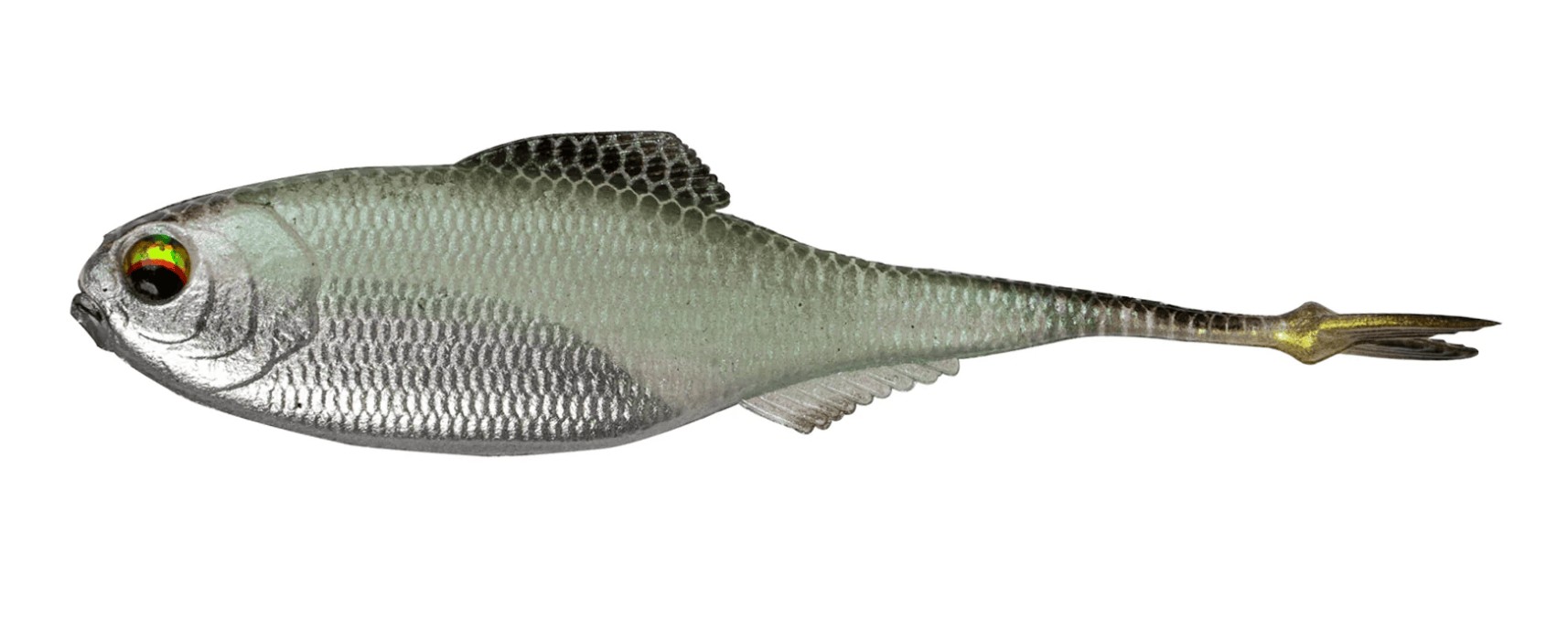 6th Sense Fishing Soft Swimbaits Green Shiner Fiction Shad