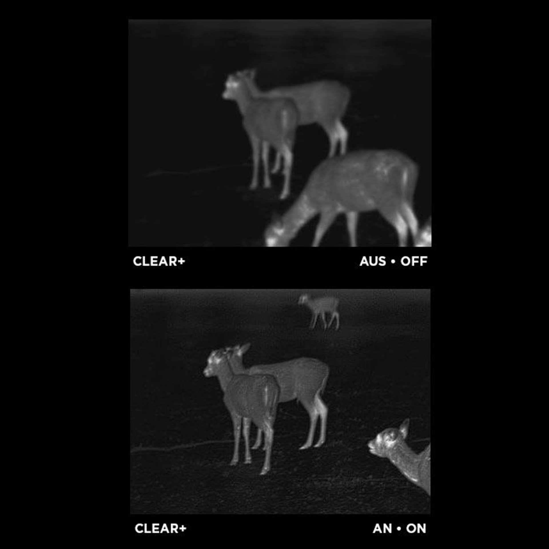 Apex Thermal Monocular 35mm