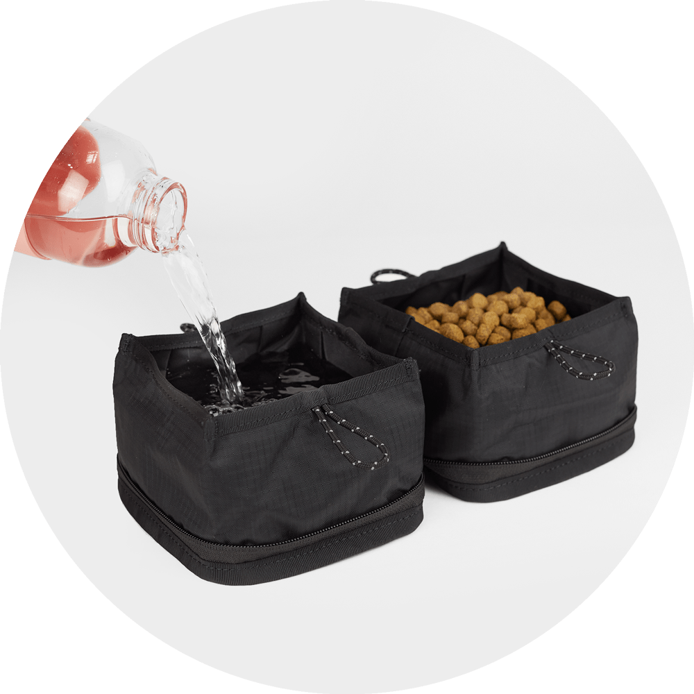 Bernal Pop-Up Dog Bowl