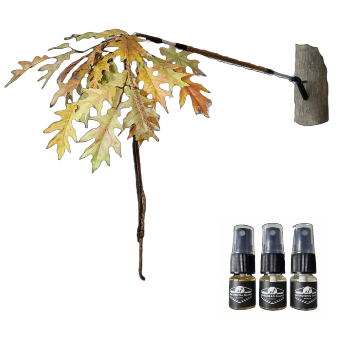 BuckBranch w/ 3 pack of Glands