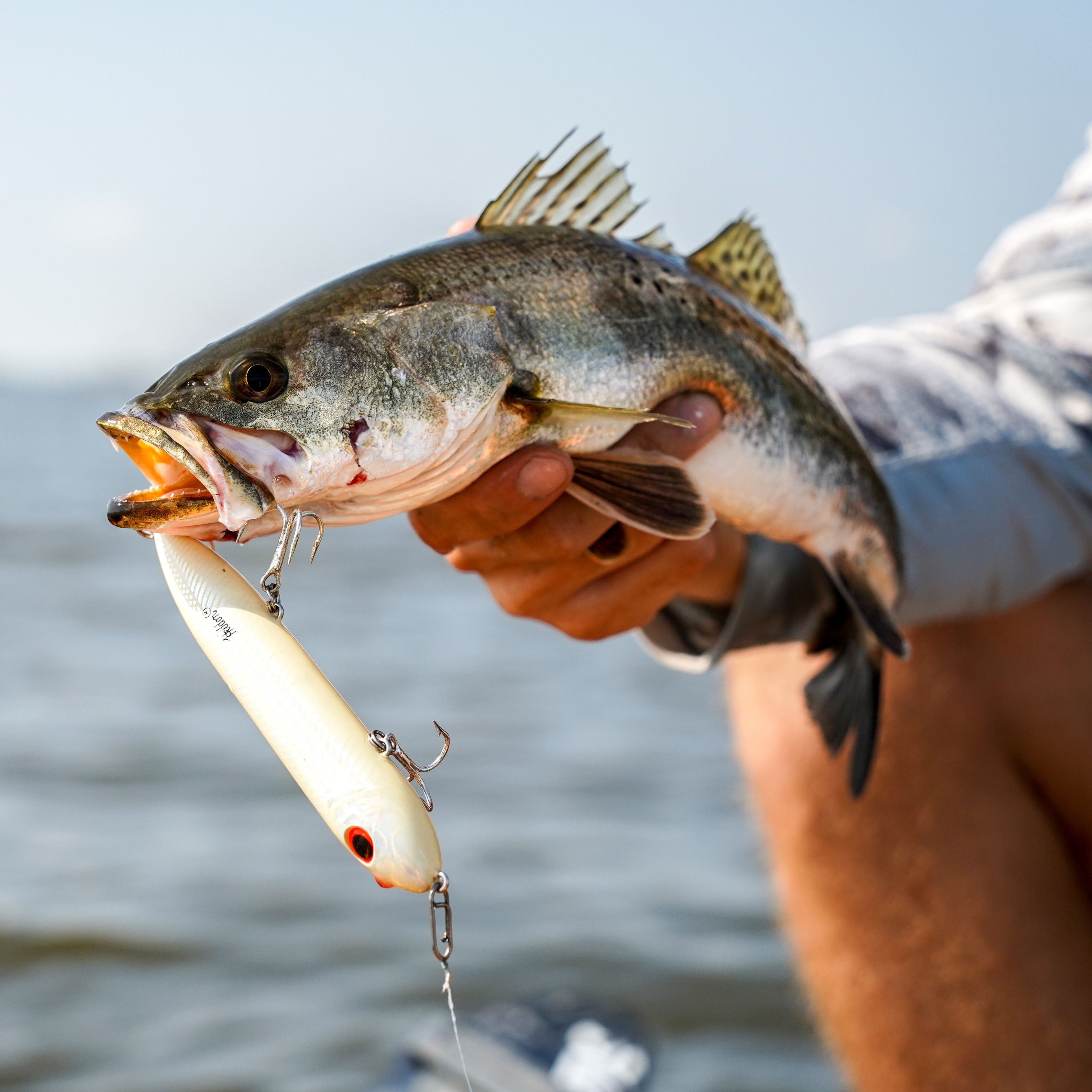 Tackle Box Essentials - Box 00326