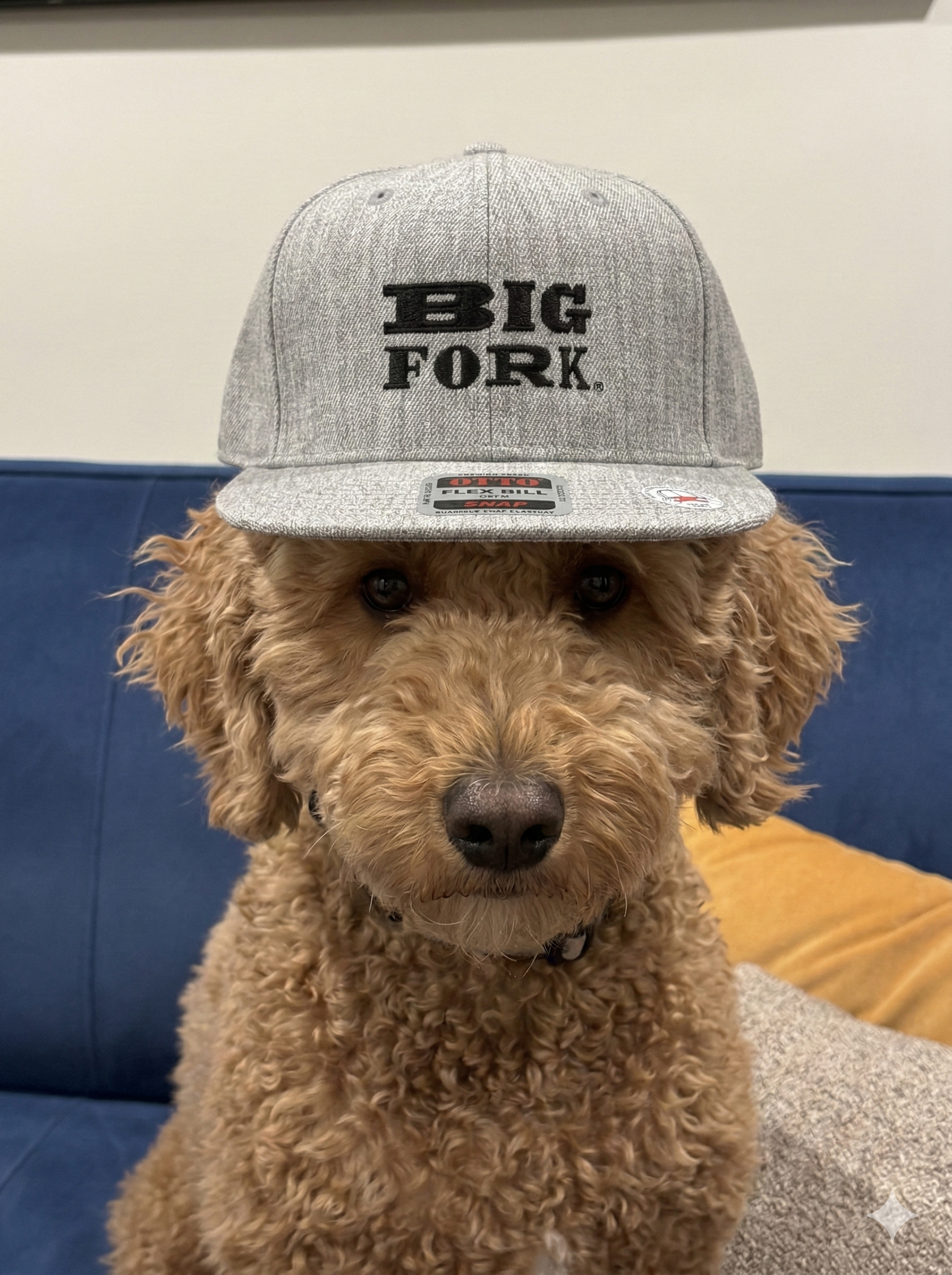 The New Big Fork Trucker Hat