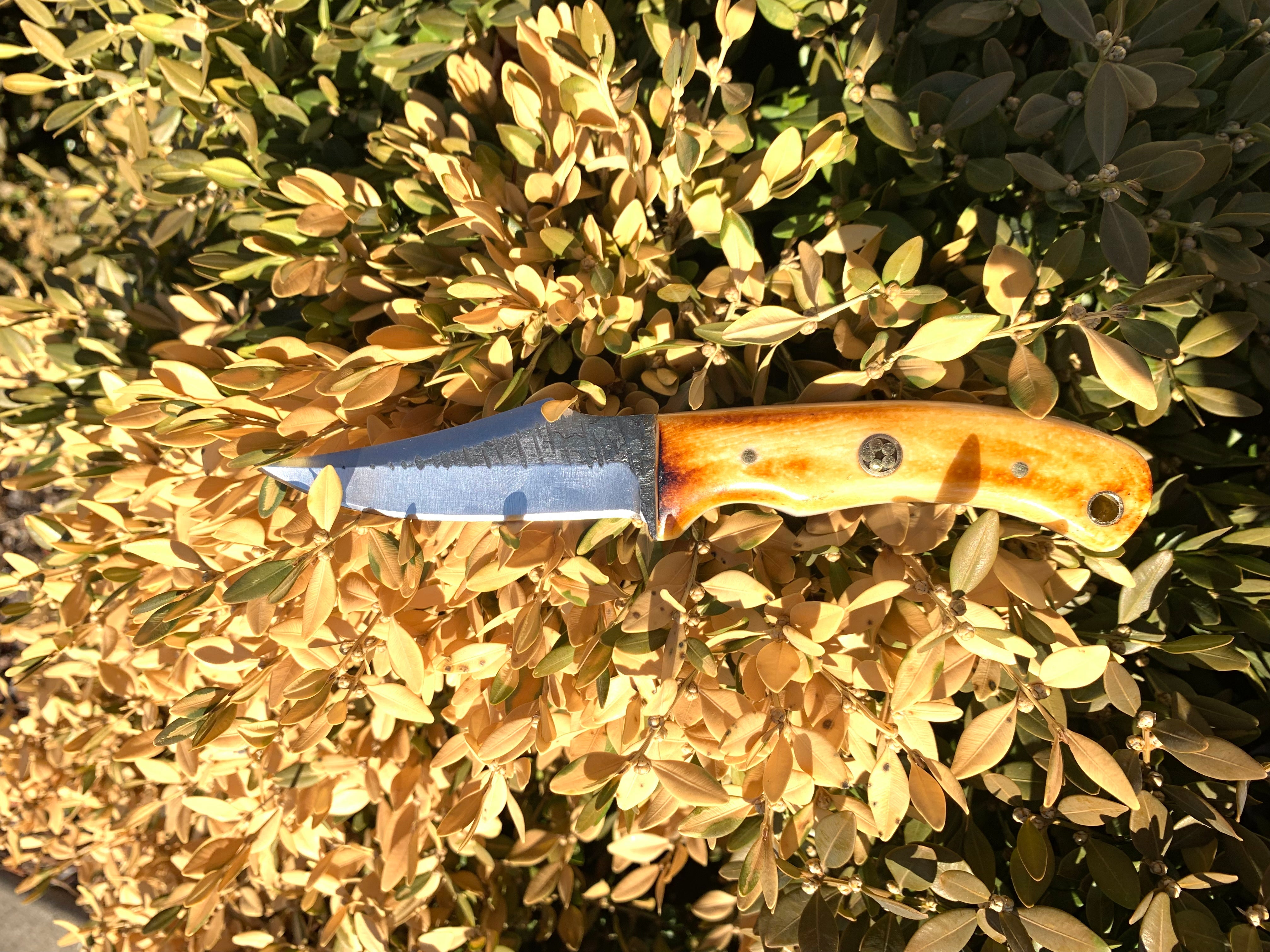 Carbon Skinning/Hunting Knife TC-59