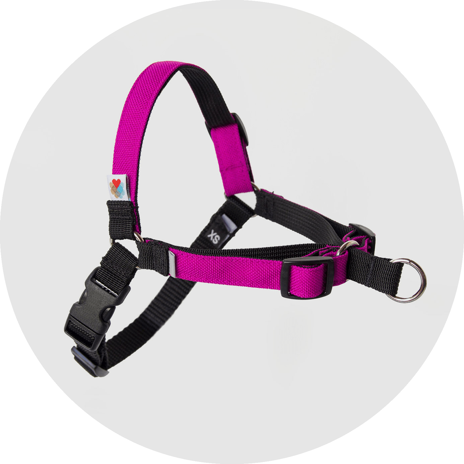 Linden No-Pull Dog Harness