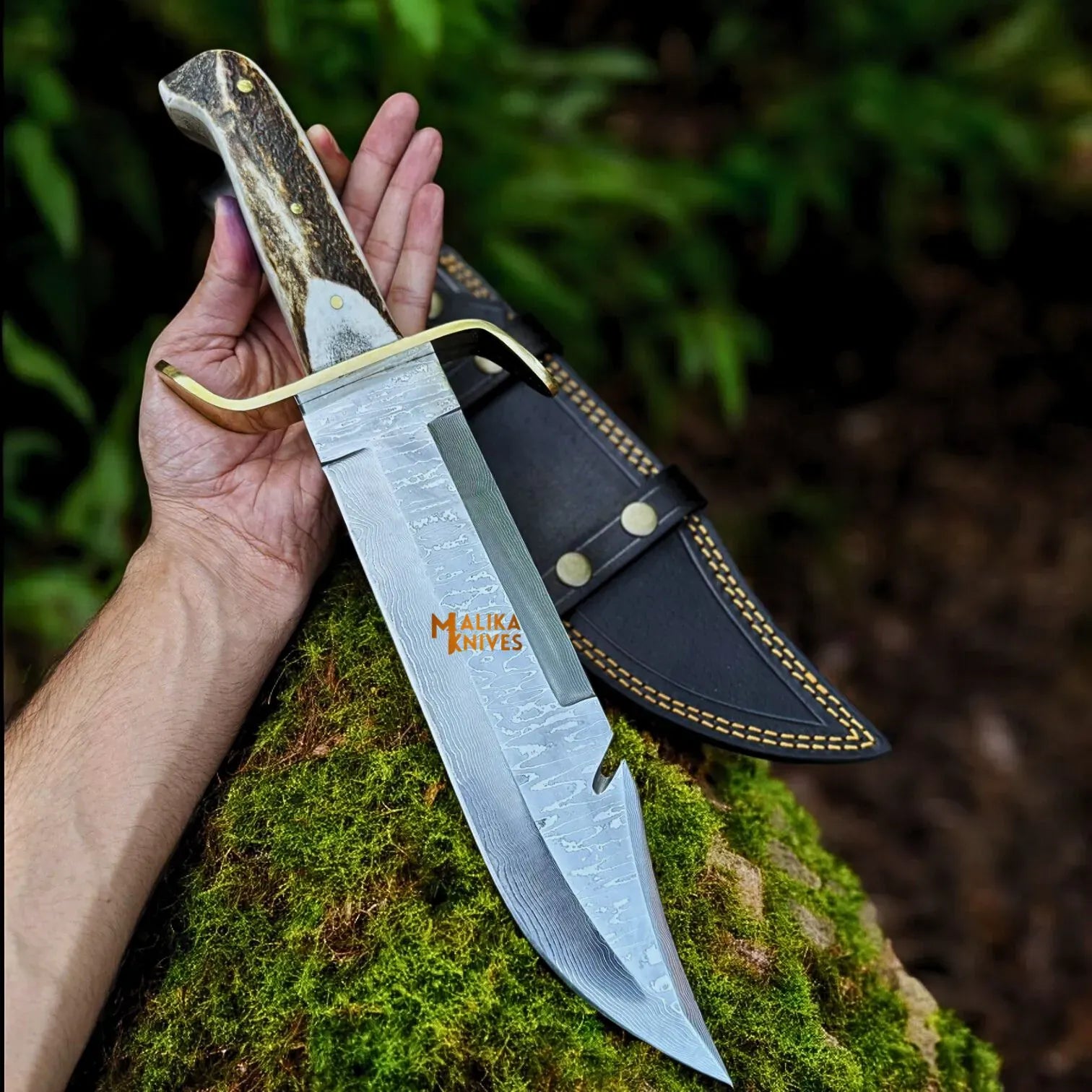 MALIKA KNIVES simple SS Damascus Gut Hook Bowie Knife Stag Antler Handle Sheath