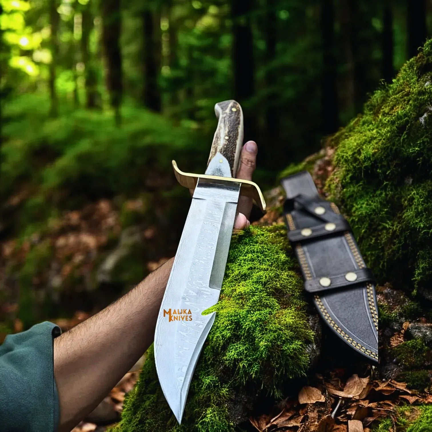 MALIKA KNIVES simple SS Damascus Gut Hook Bowie Knife Stag Antler Handle Sheath
