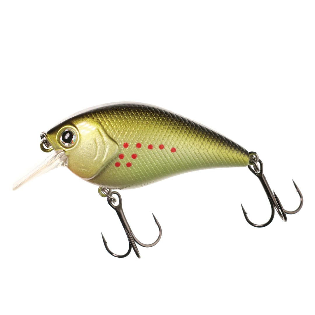XCITE BAITS Hard Bait The General XB-1 Deep Knock Squarebill