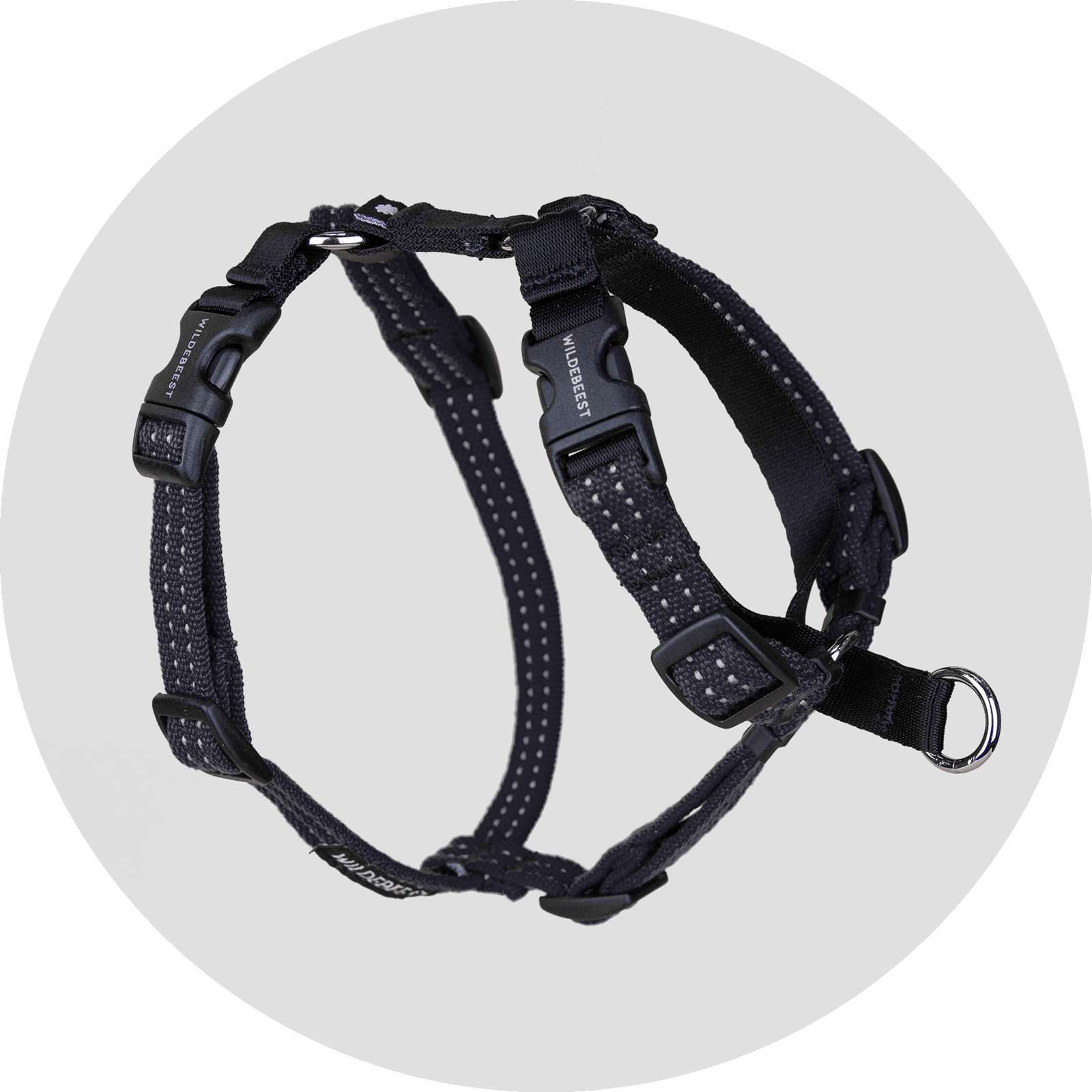 Valencia No-Pull Dog Harness