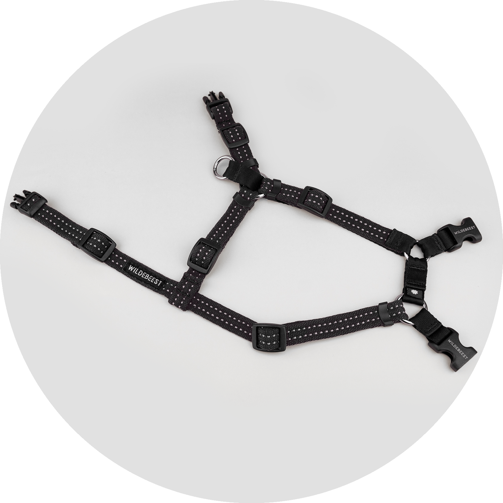 Valencia No-Pull Dog Harness