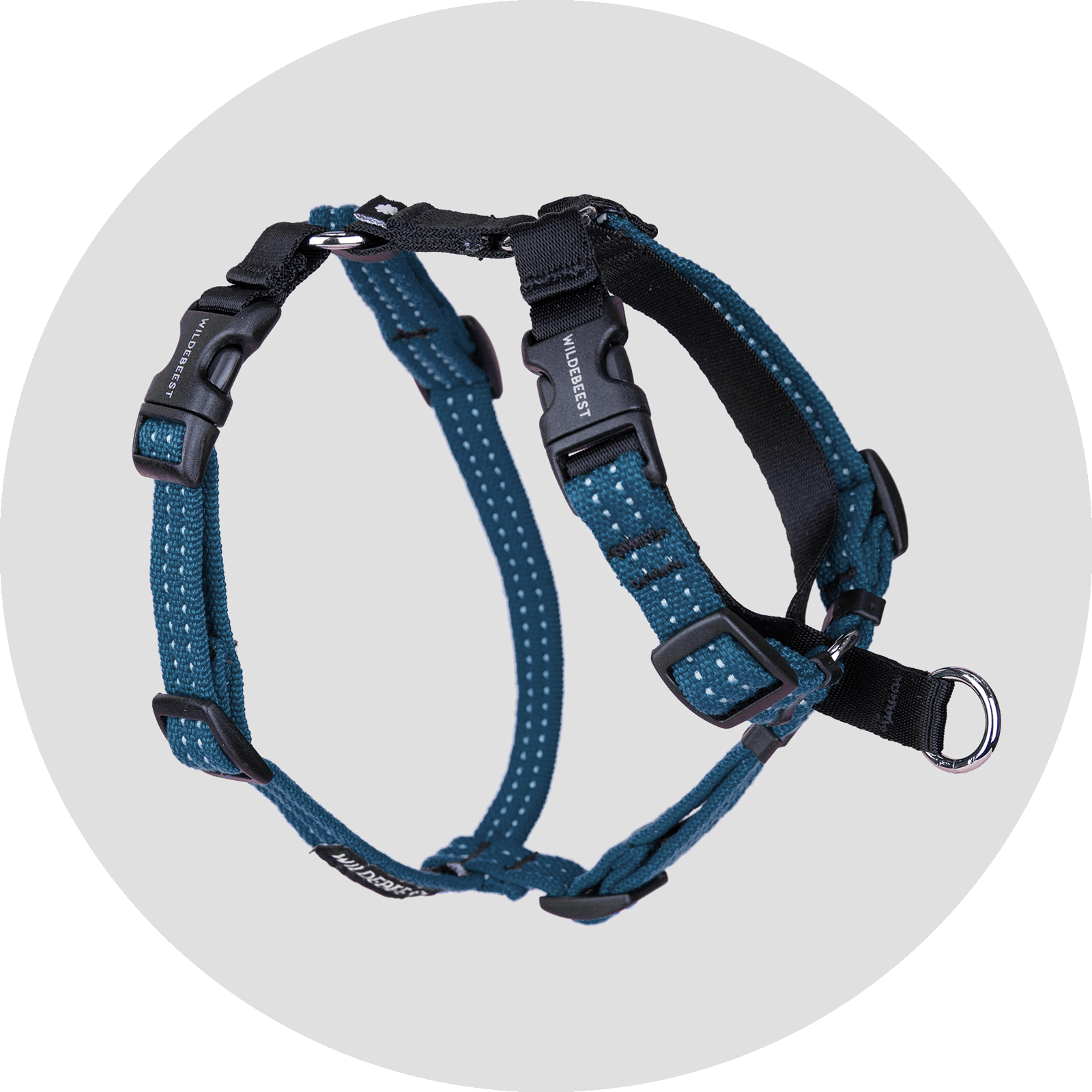 Valencia No-Pull Dog Harness