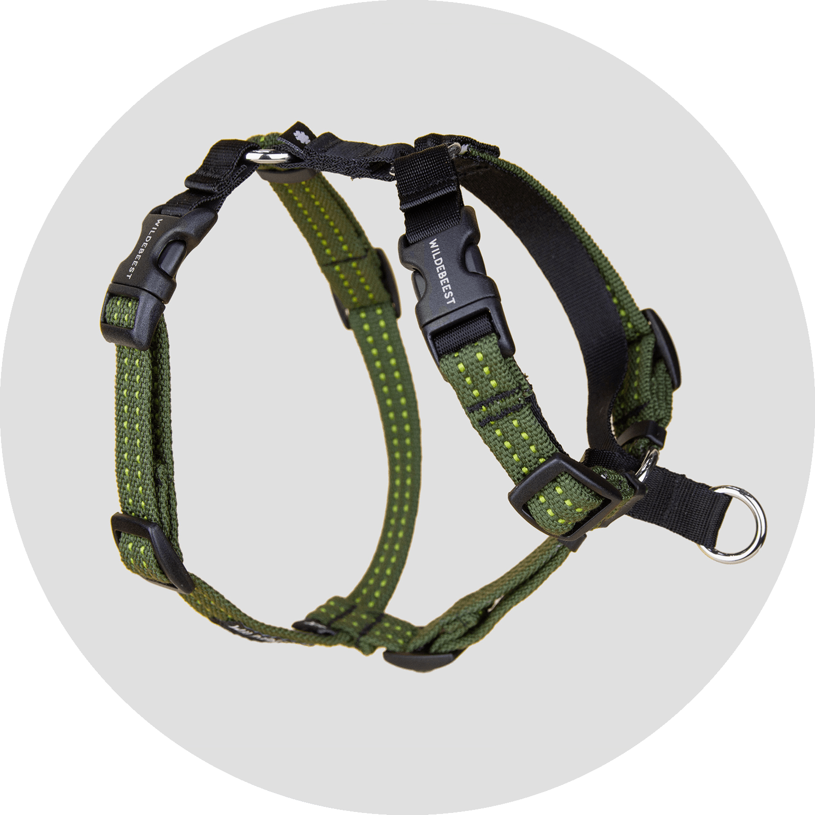 Valencia No-Pull Dog Harness