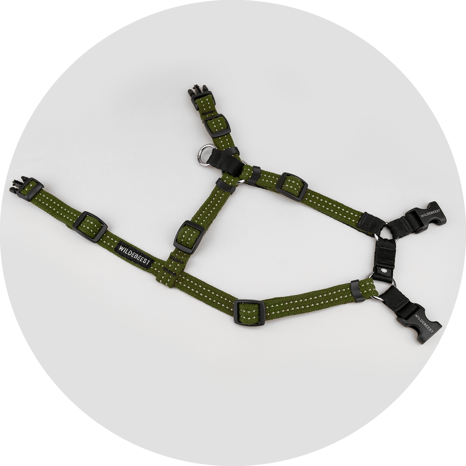 Valencia No-Pull Dog Harness