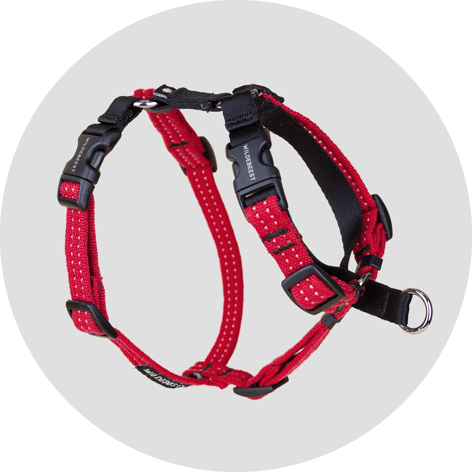 Valencia No-Pull Dog Harness