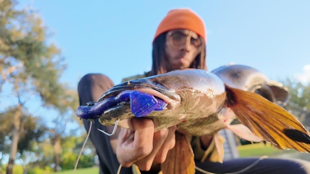 American Snakehead Customs LLC Frogs Frankenfrog