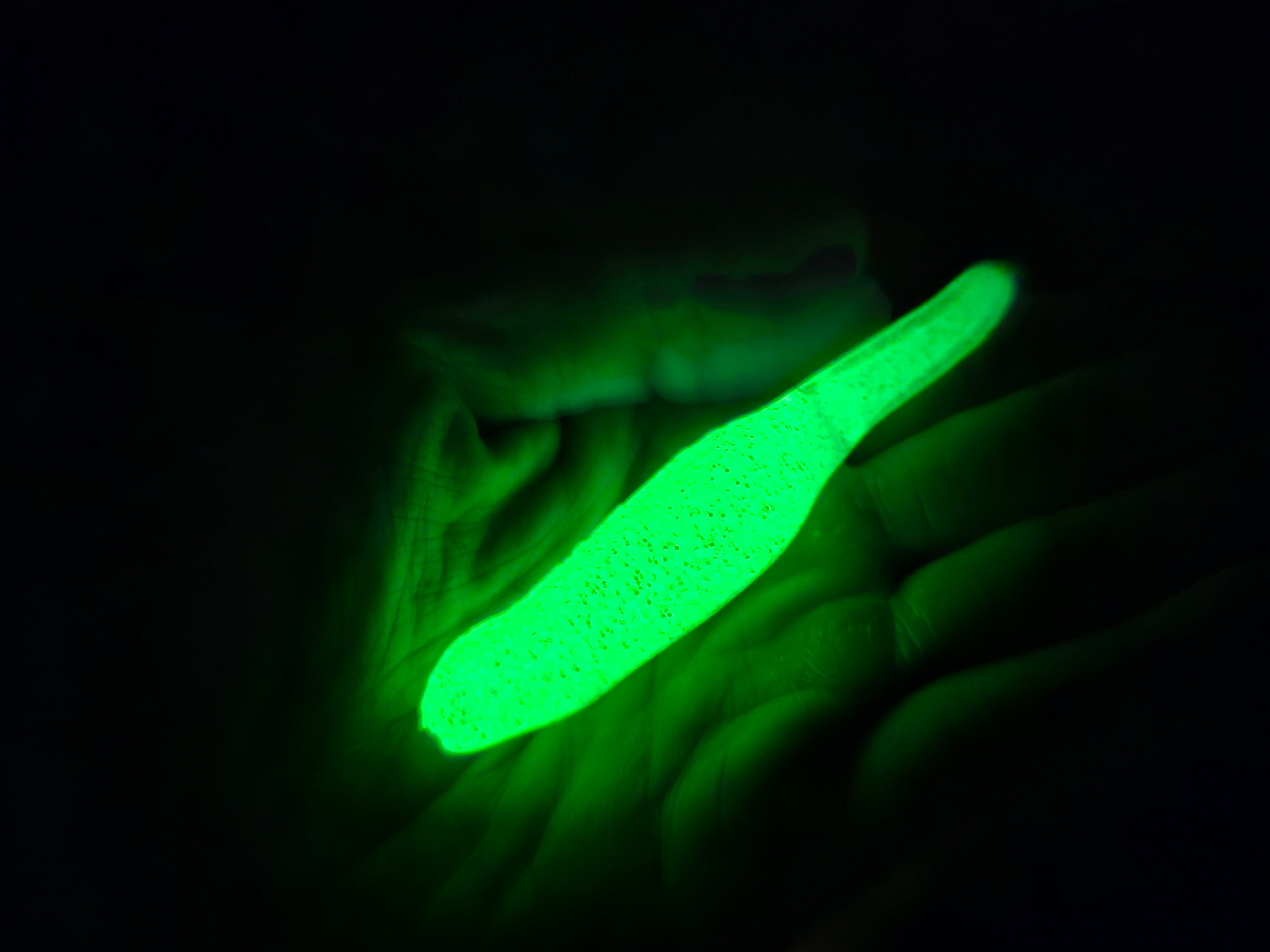 American Snakehead Customs LLC Frogs Green Glow Froglet