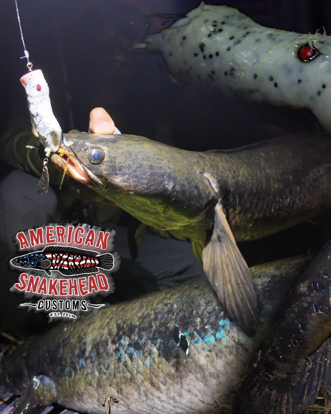 American Snakehead Customs LLC Frogs Pop N' Snek Frog