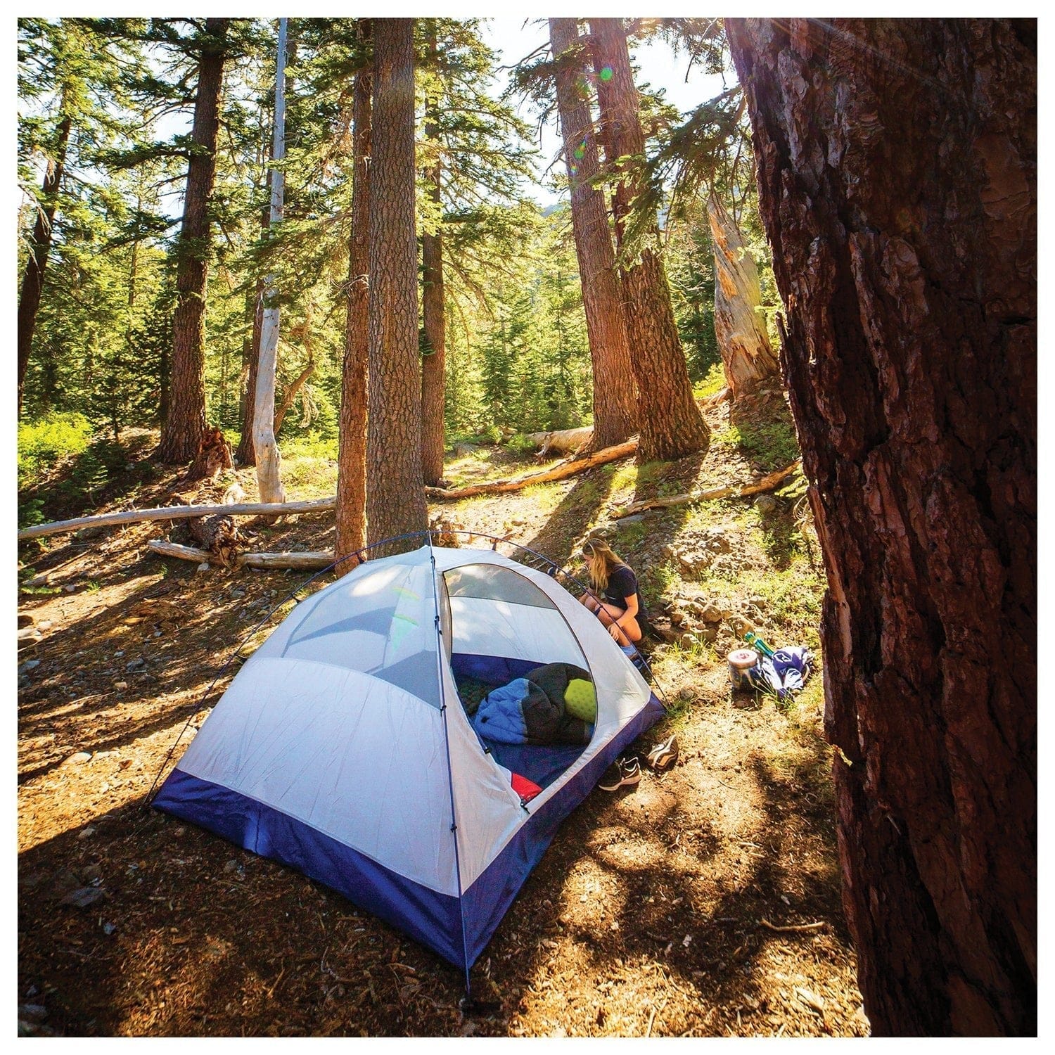 Backcountry Sportsman Ground Tent ALPS Mountaineering Lynx 2 Tent