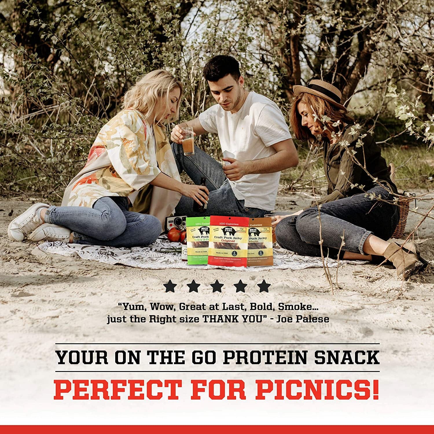 Big Fork Brands Jerky Craft Pork Jerky - 1 Case (8 X 2.25 oz. packs)