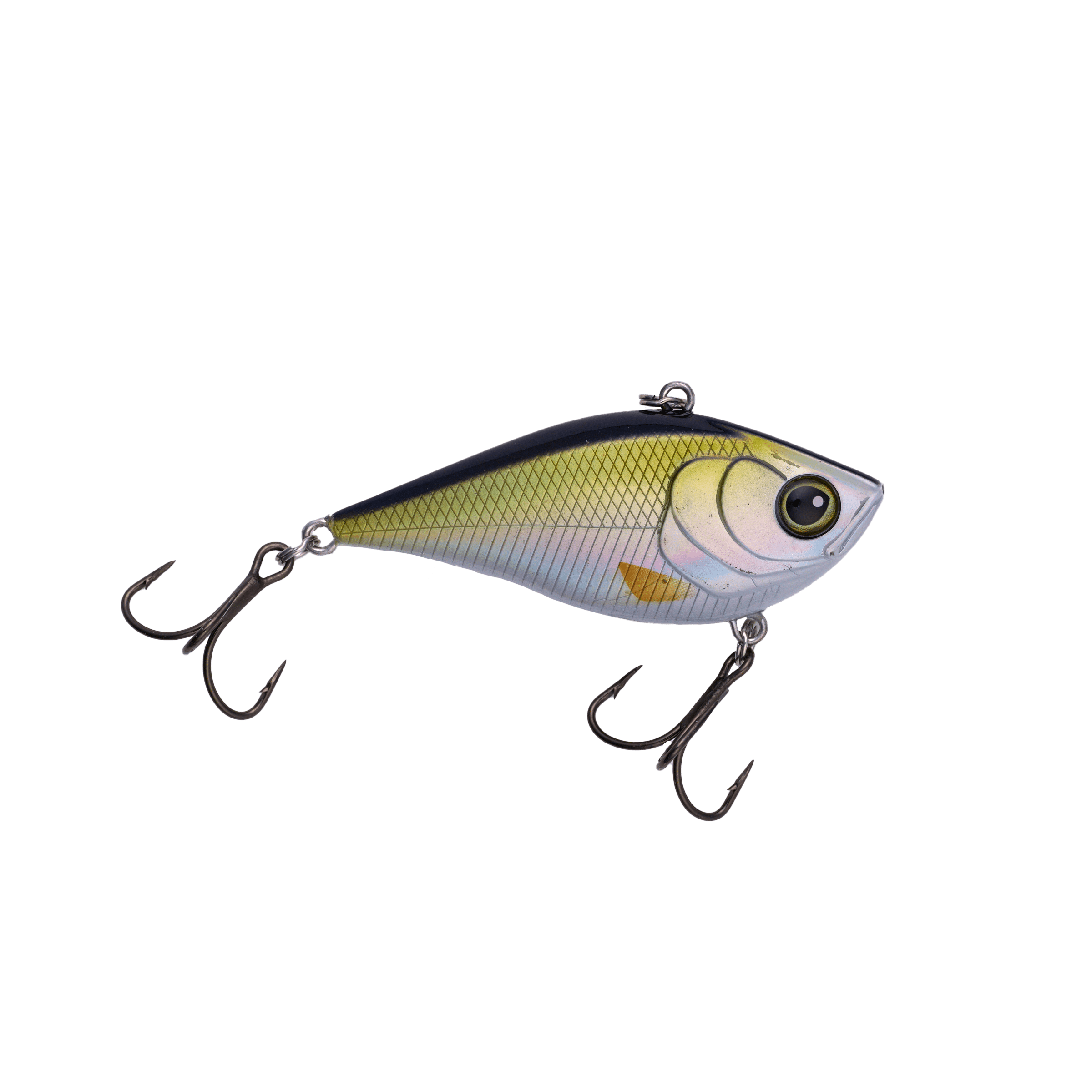 Bruiser Baits Baits Wild Shiner Death Rattle