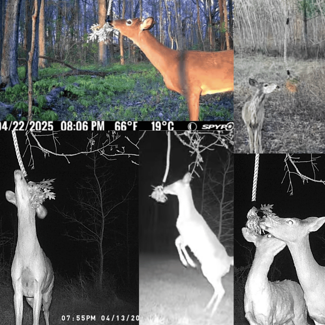 BuckStik Scent Elimination BUCK ROPE