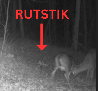 BuckStik Scent Elimination RutStik