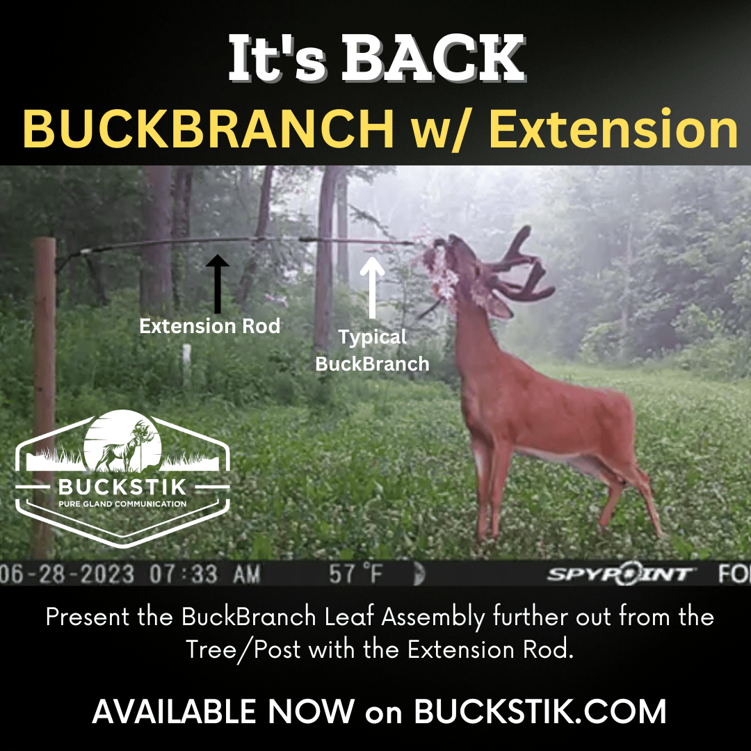 BuckStik Scent Elimination Single BuckBranch w/Glands + EXTENSION ROD (+$20) BuckBranch w/ 3 pack of Glands