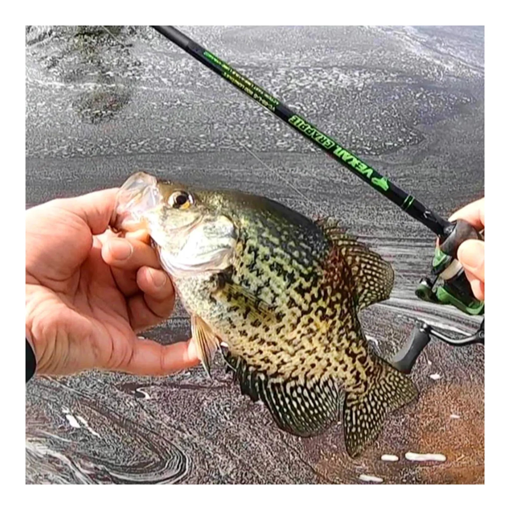 VEXAN® Crappie Rods & Panfish Rods