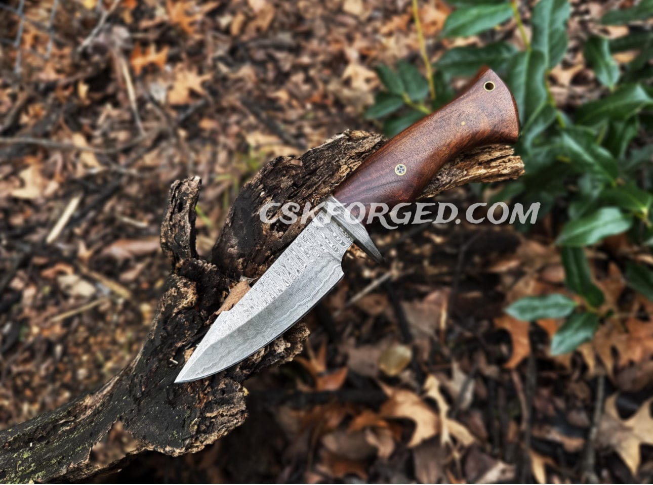 cskforged Hunting knives Bobcat Damascus Steel Hunting Knife Rose Wood Handle by cskforged
