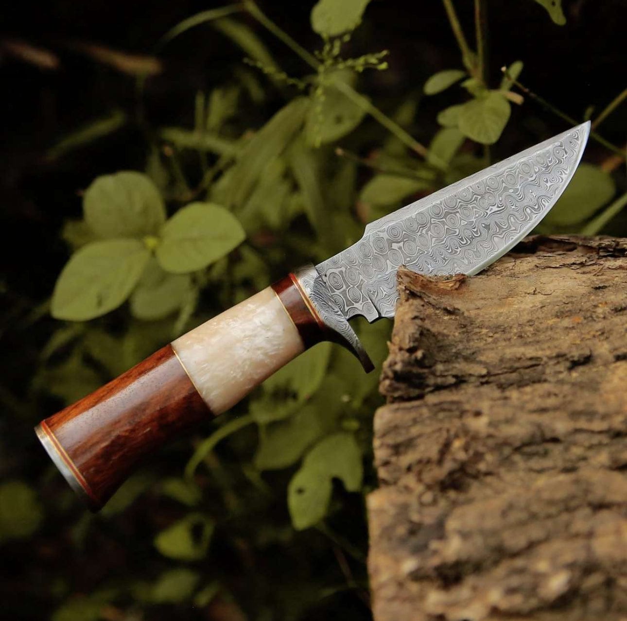 cskforged Hunting knives ELITE DAMASCUS HUNTING KNIFE WITH MOTHER OF PEARL & ROSE WOOD HANDLE