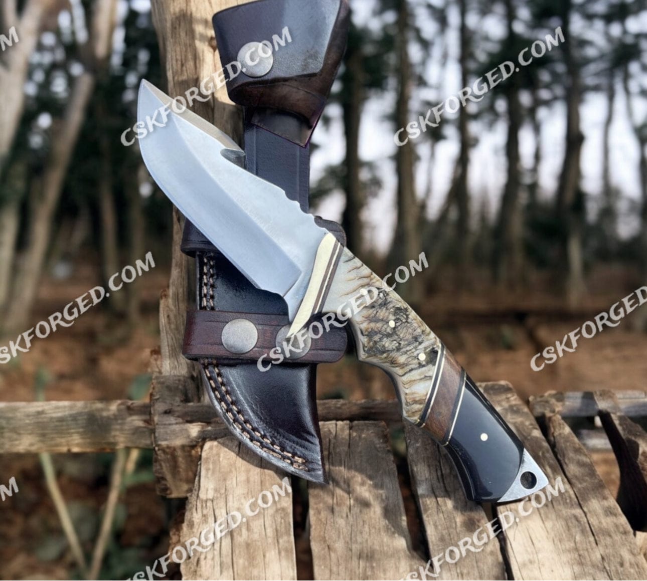 cskforged Hunting knives EVOKE HOOK KNIFE, SHEEP & TURQUOISE HANDLE
