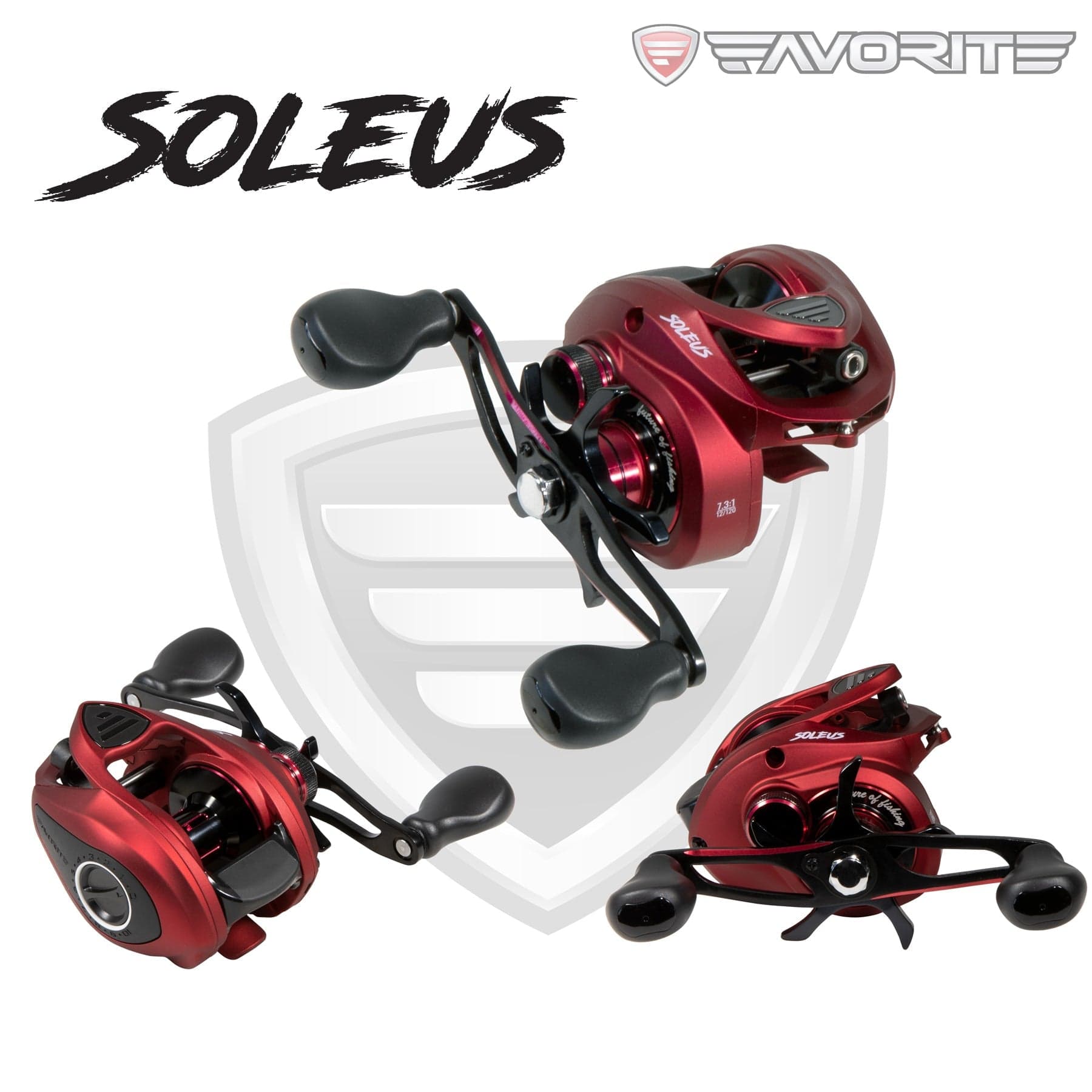 Favorite Fishing Fishing Reel Soleus Casting Reel