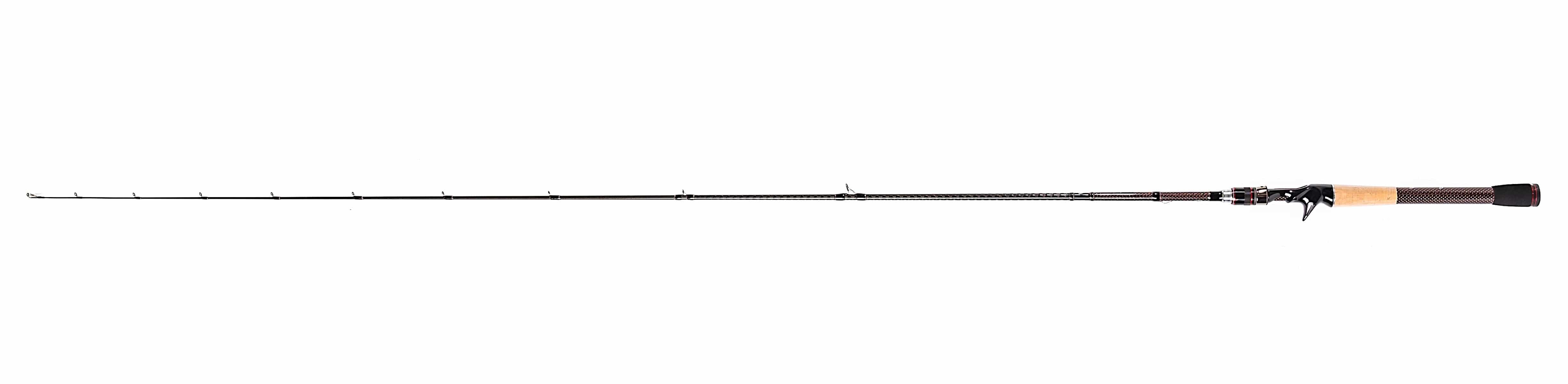 Favorite Fishing Fishing Rod Big Sexy Casting Rod