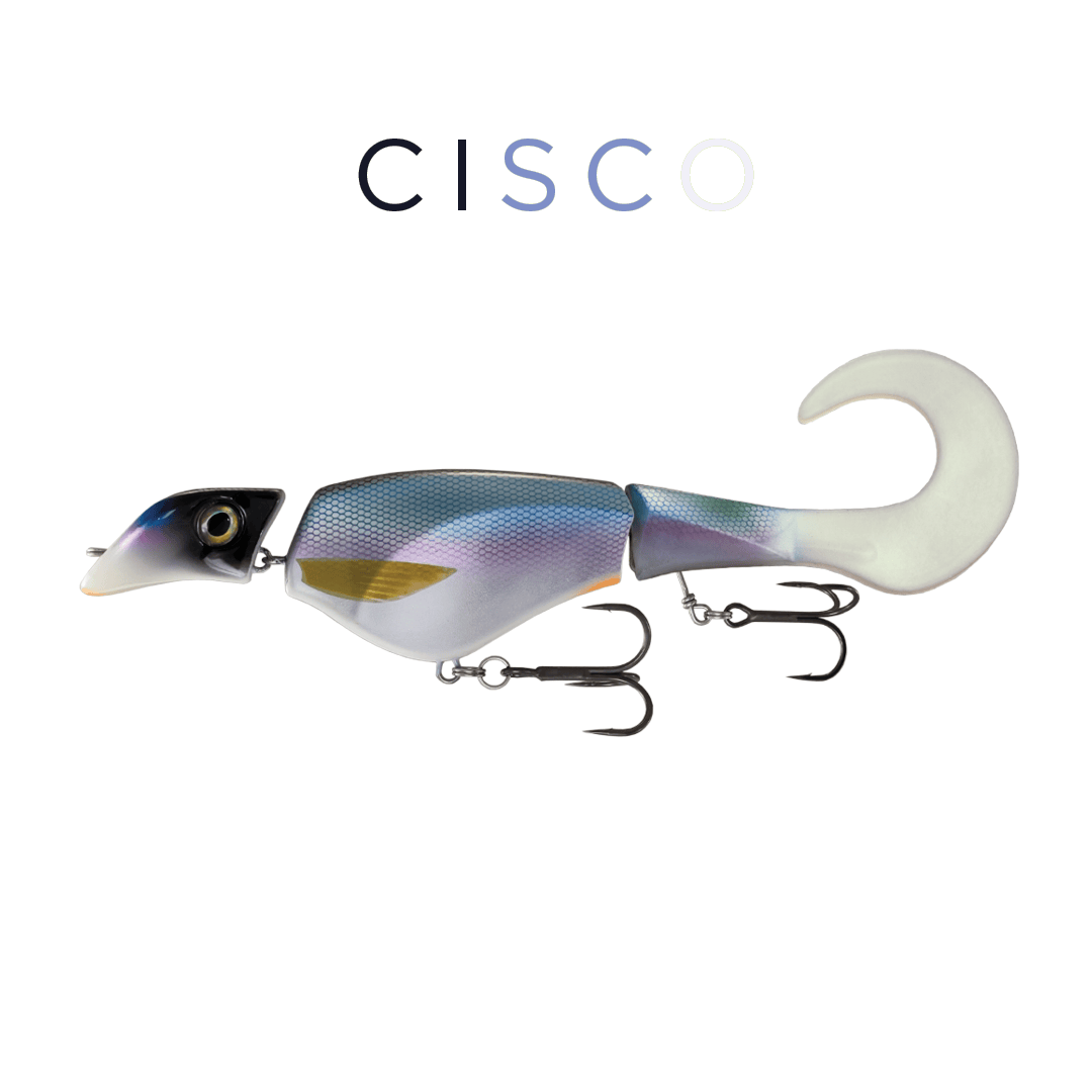 Headbanger Lures Cisco Headbanger Colossus Curly 12"