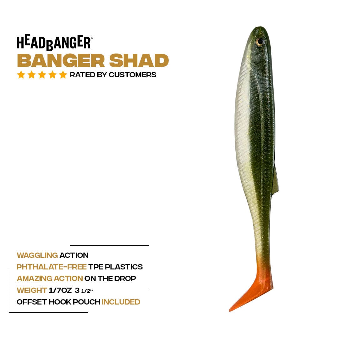 Headbanger Lures Headbanger BangerShad 3-1/2" 5-pack