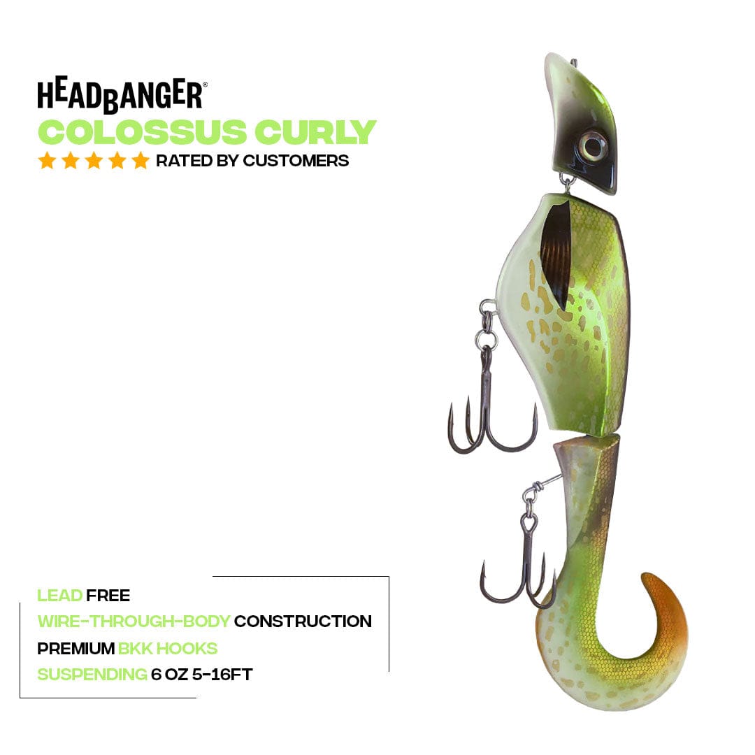 Headbanger Lures Headbanger Colossus Curly 12"