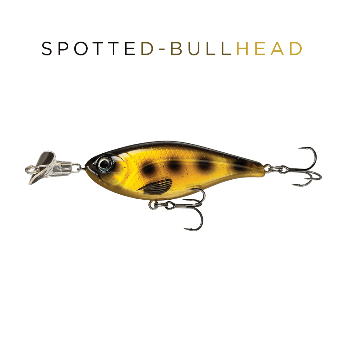 Headbanger Lures Spotted Bullhead Headbanger Cranky Shad 5"