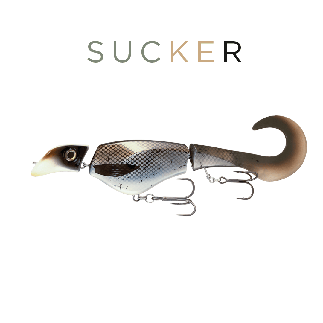 Headbanger Lures Sucker Headbanger Colossus Curly 12"
