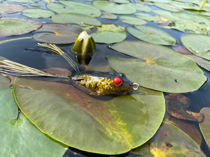 Hendrix Fishing Topwater Hendrix Fishing Voodoo Frog