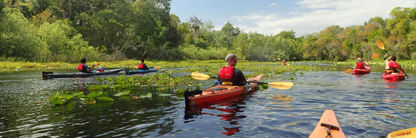 Kayaks