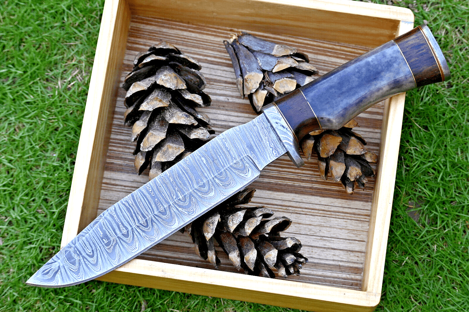 KBS Knives Store Bowie Knife Wilderness Explorer: Hunting Bowie Knife with Damascus Steel Blade, Colored Bone and Rosewood Handle, Damascus Guard, and Leather Sheath
