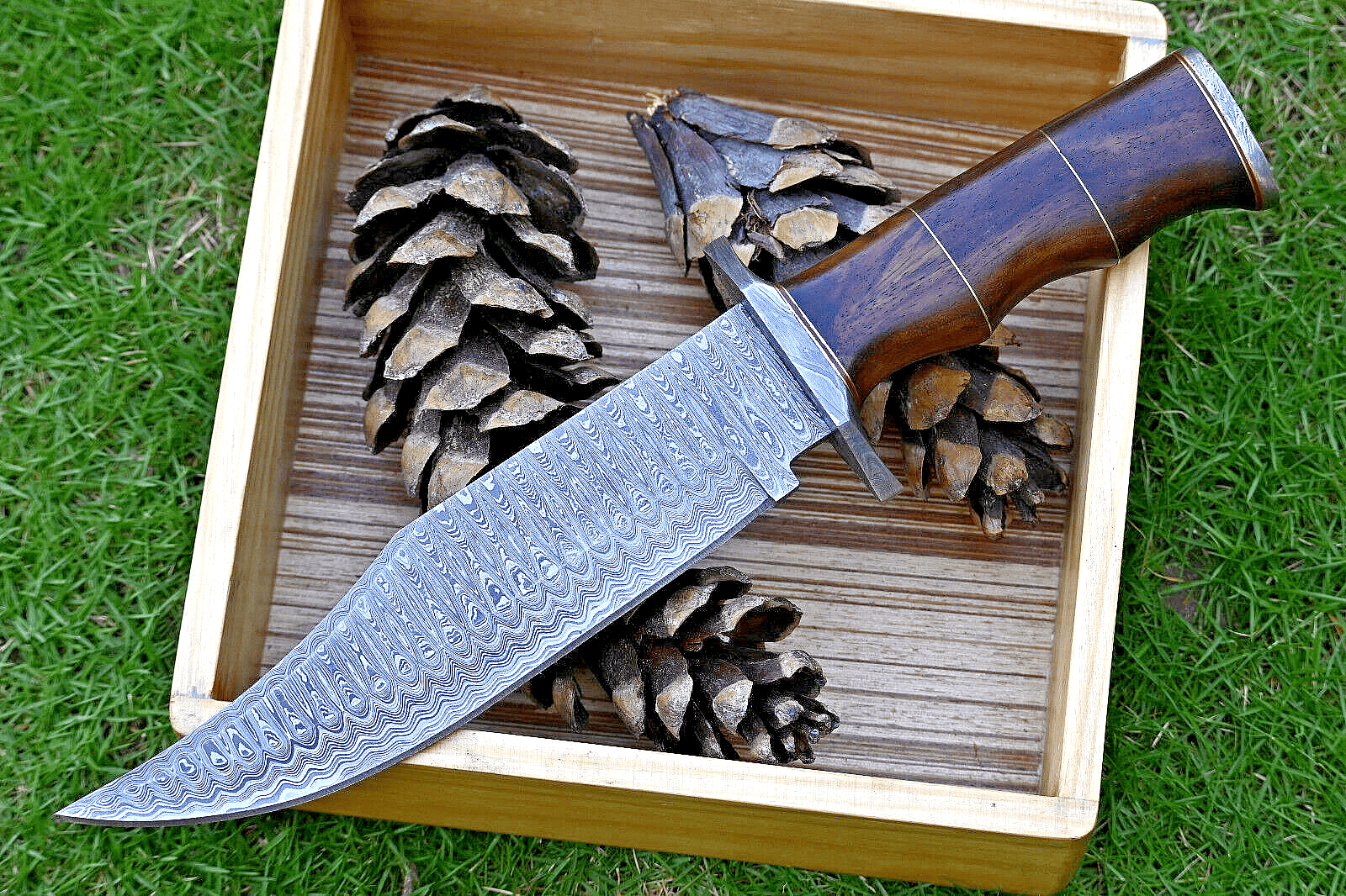 KBS Knives Store Bowie Knife Wilderness Guardian: Hunting Bowie Knife with Damascus Steel Blade, Rosewood Handle, Brass Spacers, Damascus Guard, and Leather Sheath