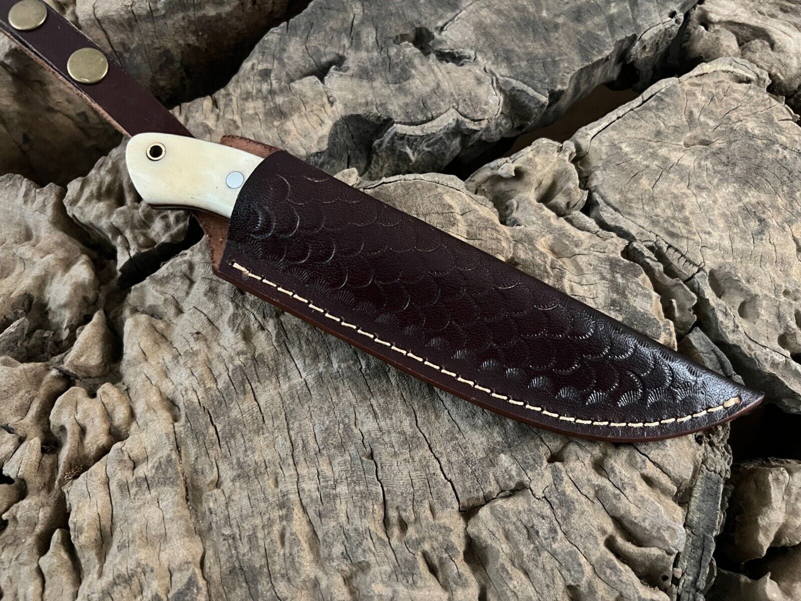 KBS Knives Store Bush Craft Knife WildEdge High-Carbon Steel Bushcraft Knife – 8-Inch Survival Blade with Bone Handle