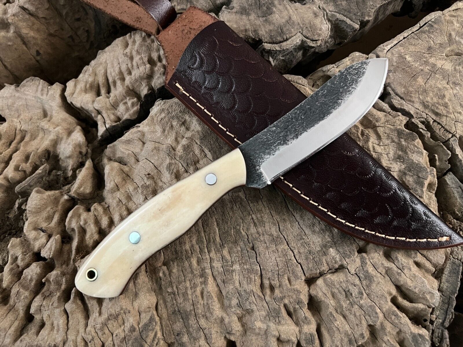 KBS Knives Store Bush Craft Knife WildEdge High-Carbon Steel Bushcraft Knife – 8-Inch Survival Blade with Bone Handle