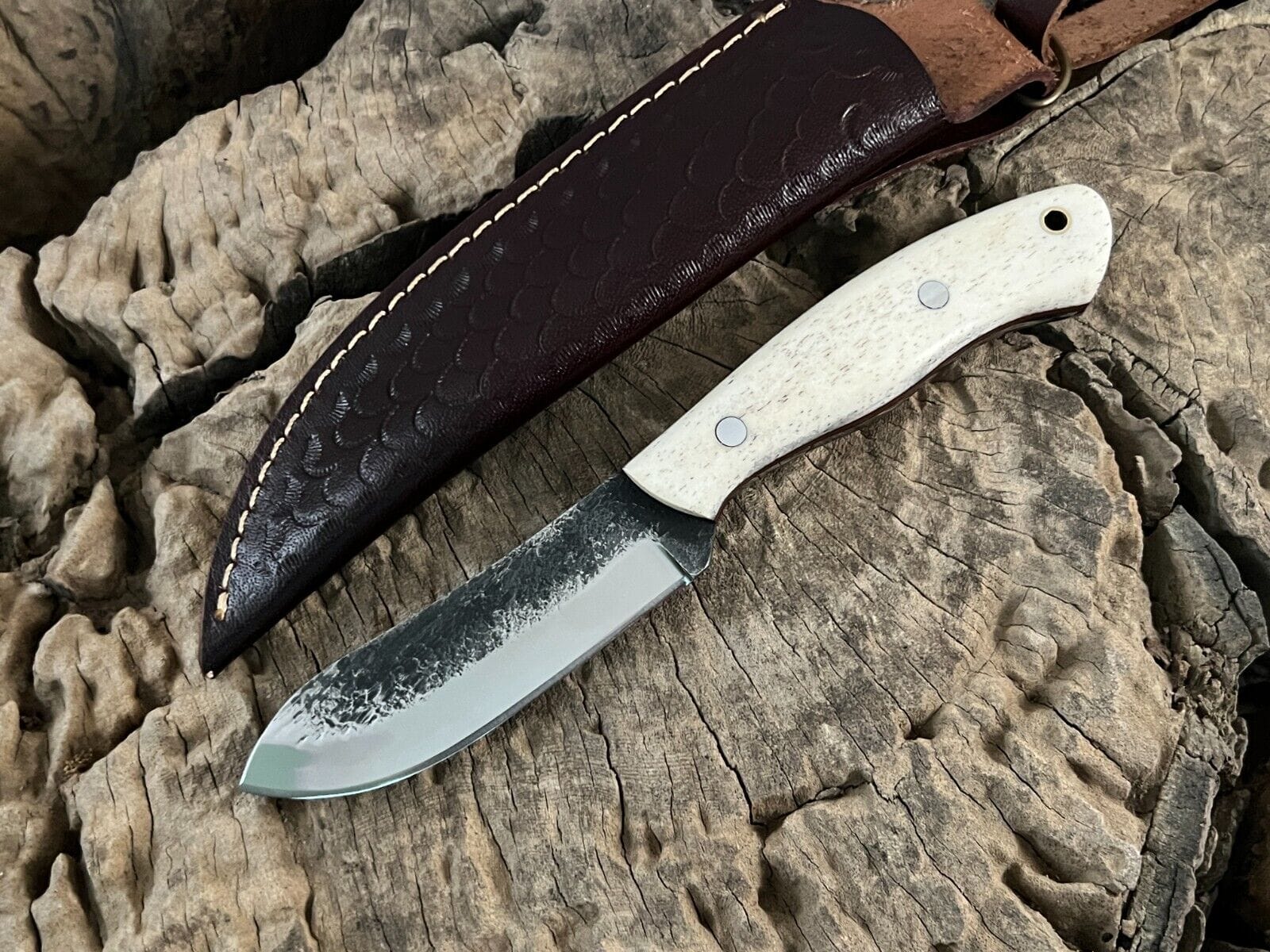 KBS Knives Store Bush Craft Knife WildEdge High-Carbon Steel Bushcraft Knife – 8-Inch Survival Blade with Bone Handle