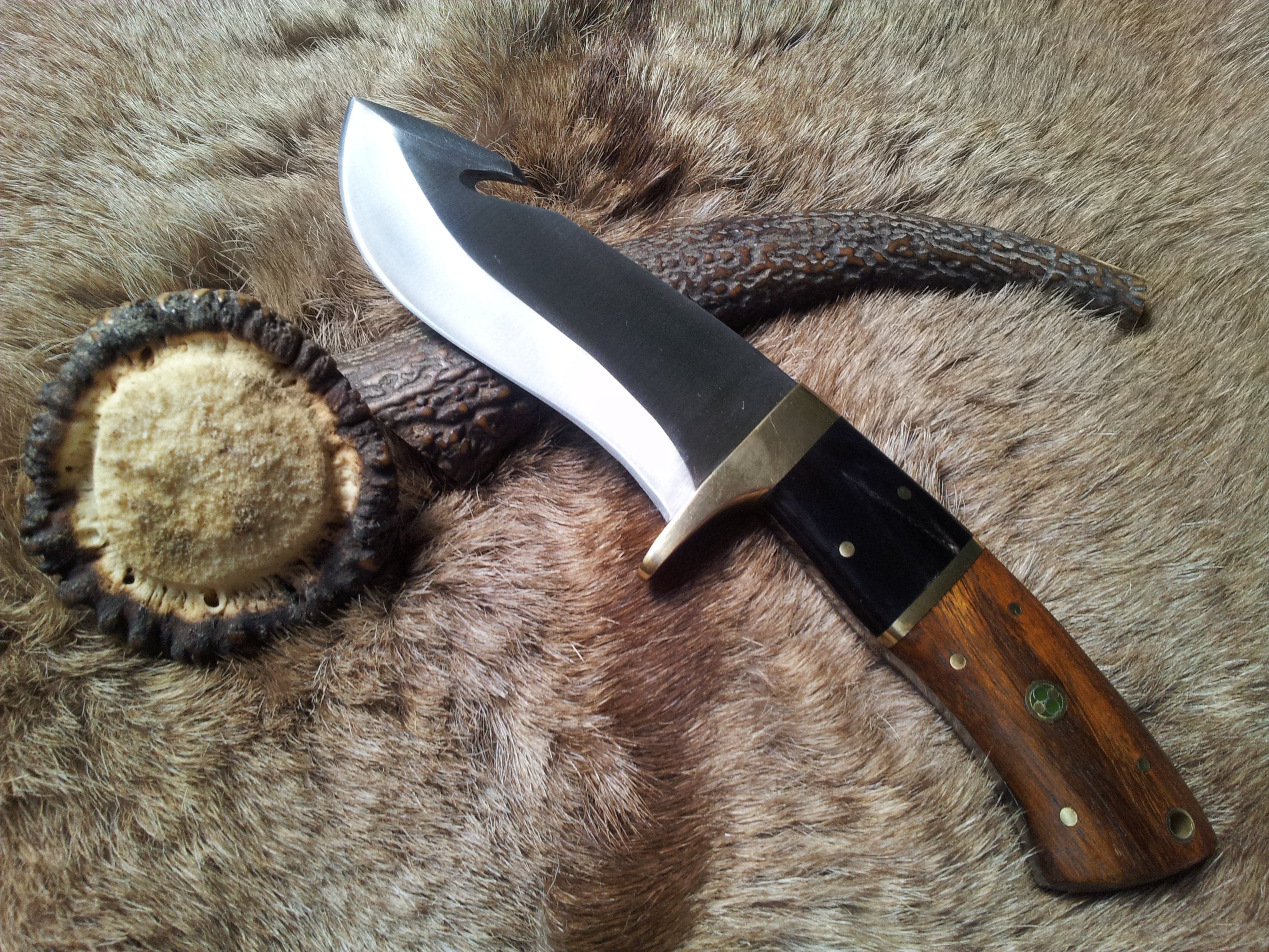 KBS Knives Store Guthook Knives Fixed Blade Guthook Knife - 1095 High Carbon Steel & Rosewood/Buffalo Horn Handle