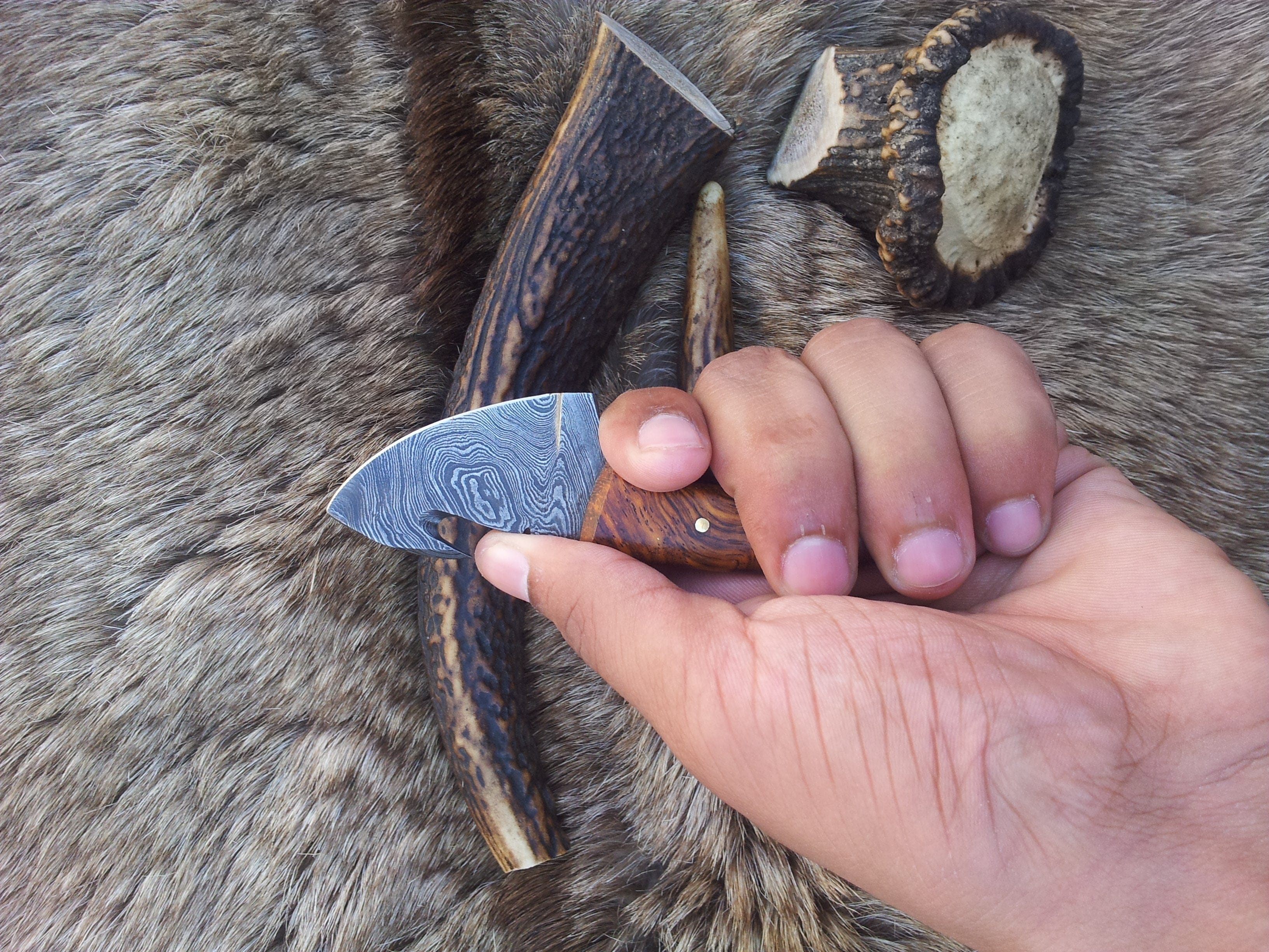 KBS Knives Store Guthook Knives Mini Guthook Knife - Custom Damascus Steel Blade & Rosewood Handle