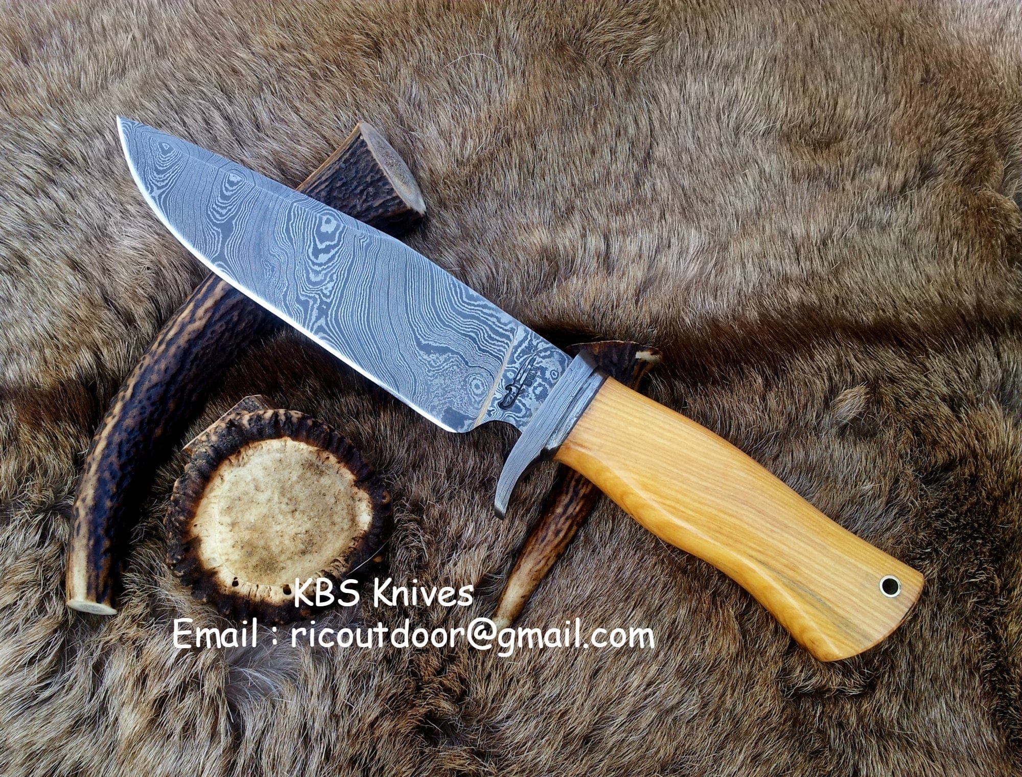 KBS Knives Store Hunting Knife Custom Handmade Damascus Hunting Knife | Olivewood Handle with Damascus Guard | 12 Inches | Leather Sheath | KBS Knives