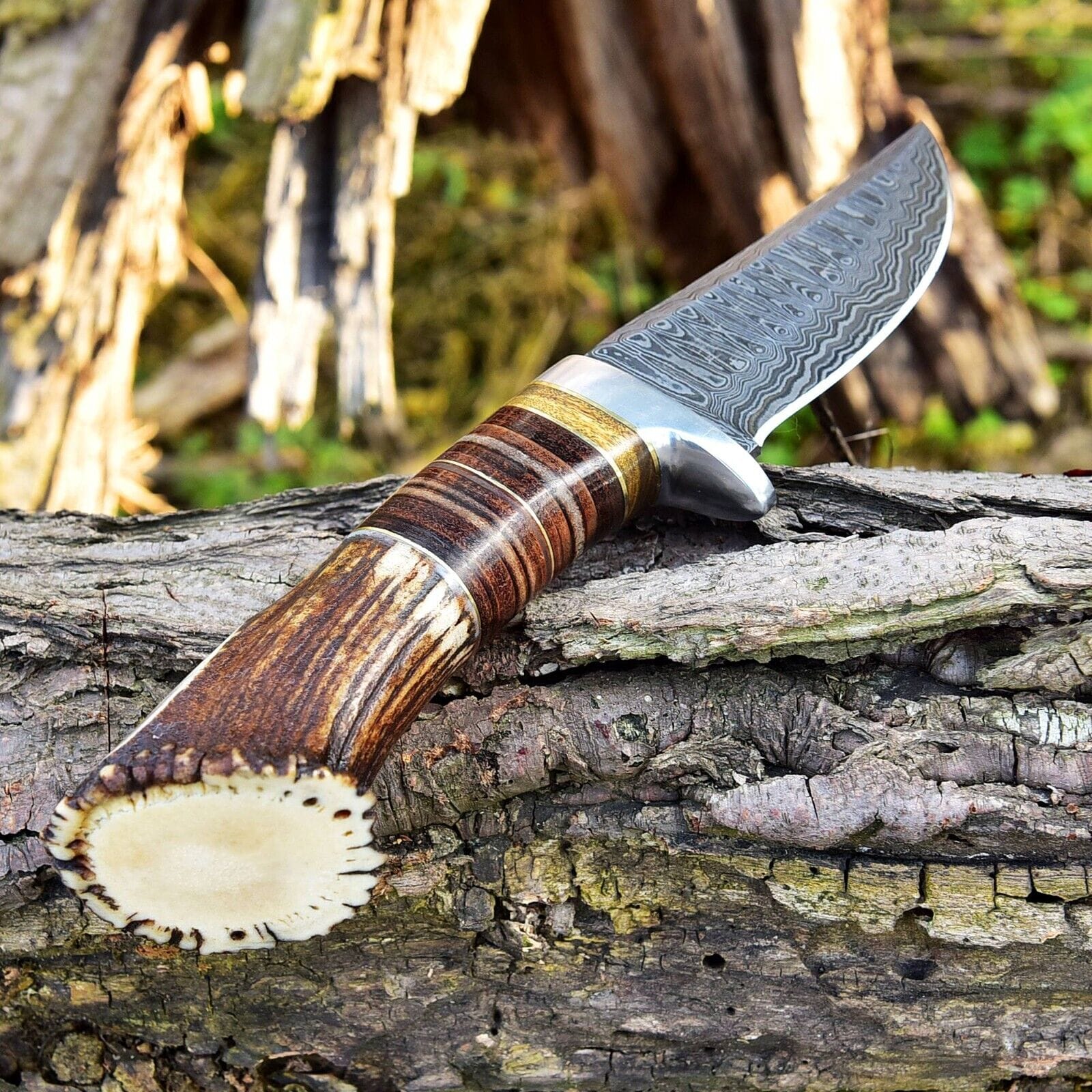 KBS Knives Store Hunting Knife Custom Handmade Damascus Steel Hunting Knife with Rosewood, Stag Horn and Steel Guard Handle - 9 Inches by KBS Knives Store