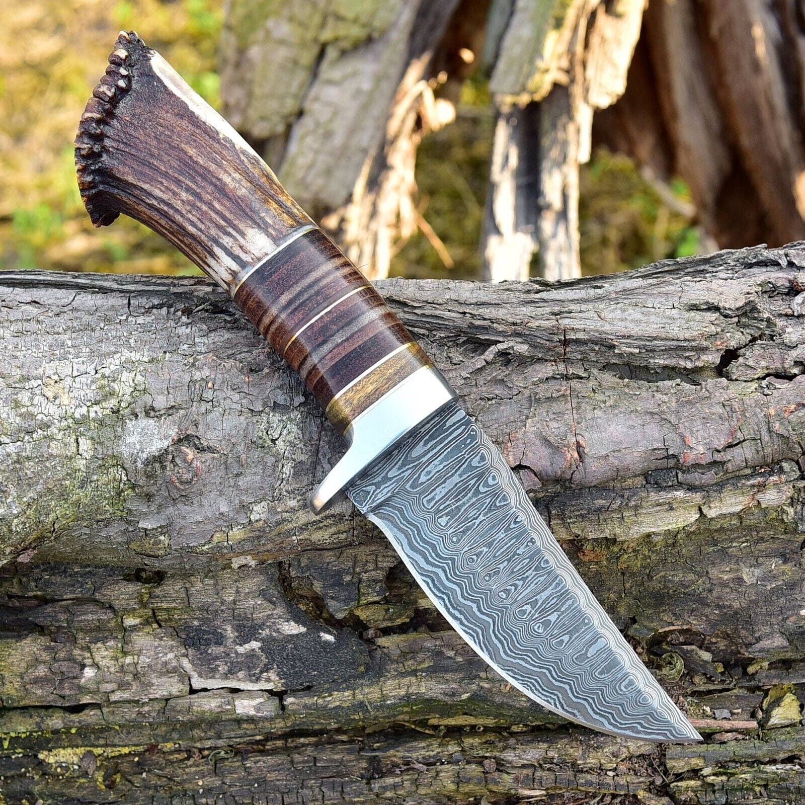 KBS Knives Store Hunting Knife Custom Handmade Damascus Steel Hunting Knife with Rosewood, Stag Horn and Steel Guard Handle - 9 Inches by KBS Knives Store