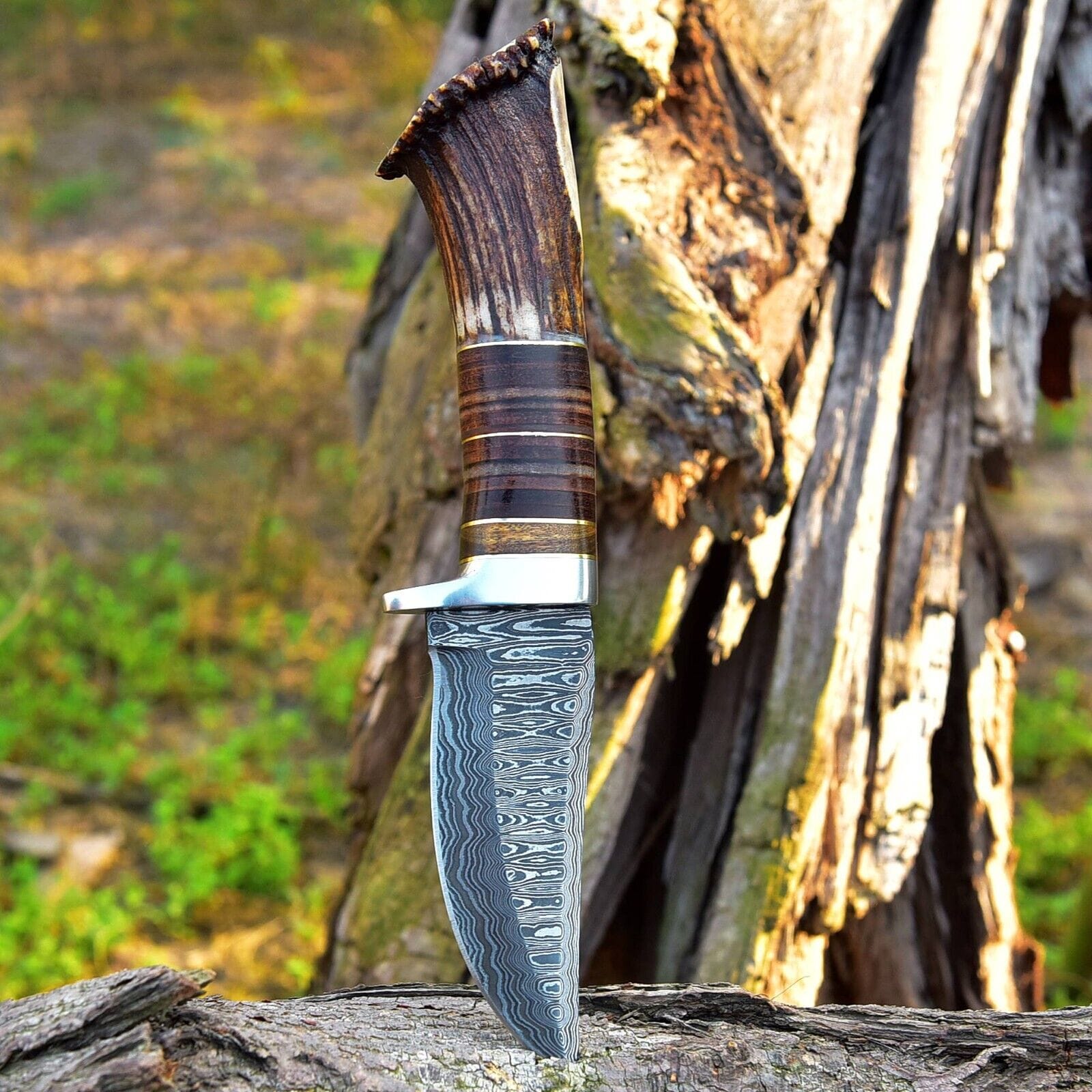 KBS Knives Store Hunting Knife Custom Handmade Damascus Steel Hunting Knife with Rosewood, Stag Horn and Steel Guard Handle - 9 Inches by KBS Knives Store